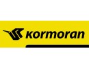 Kormoran